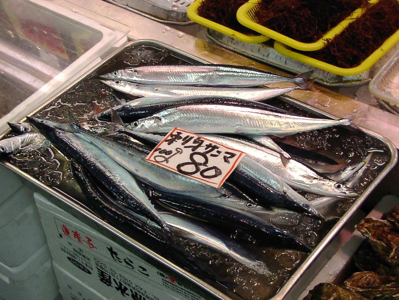 秋といえばサンマでしょ 8月20日_f0113639_1413066.jpg