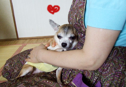 c0019050_39795.jpg