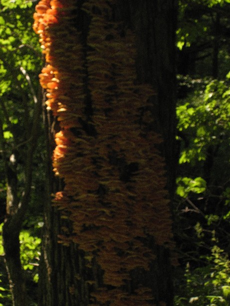 e0021353_01695.jpg