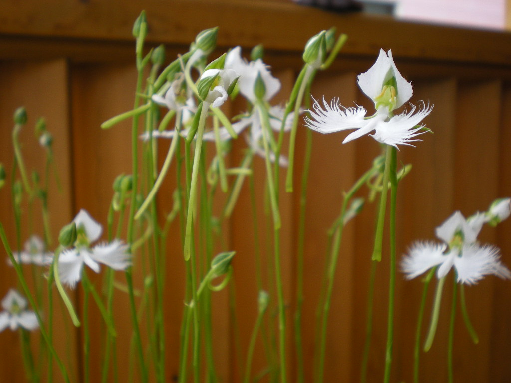 201308-imgp0874.jpg