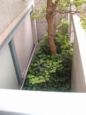 小さな芽_d0119256_22325195.jpg
