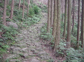 世界遺産・熊野古道八鬼山道からお知らせ_f0133861_1659537.jpg