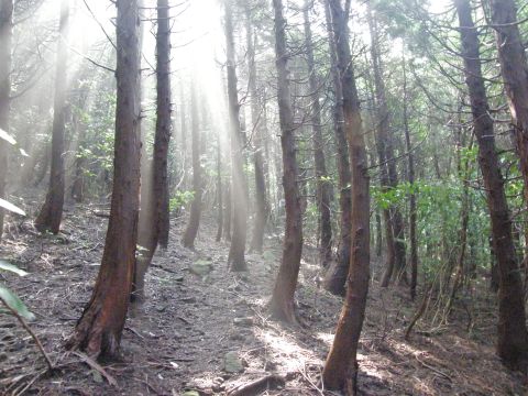 c0042869_21274952.jpg