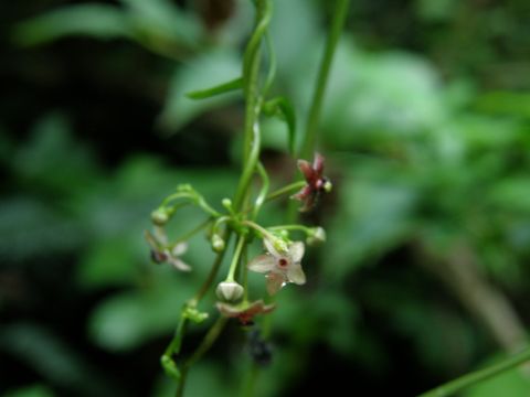 c0042869_21311859.jpg