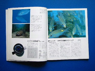 マニュアル アニマル_b0141773_23364084.jpg