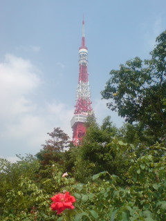アササン_c0009877_12444812.jpg