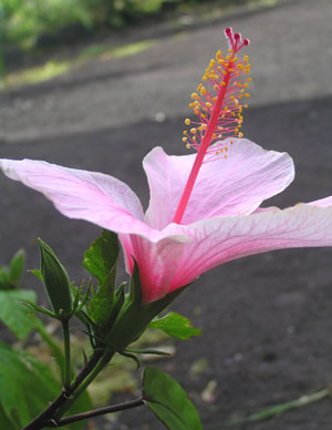 b0070879_20558100.jpg