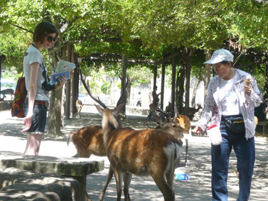 f0046982_973525.jpg