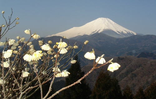 休日に歩いて来ました。_e0135989_14585711.jpg