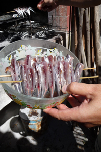 イタリアで焼き魚_f0106597_111810.jpg