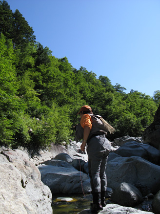 近況報告_c0095801_1371199.jpg