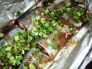 出水の釣りアジ_f0157910_14243797.jpg