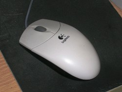 c0006211_1720989.jpg