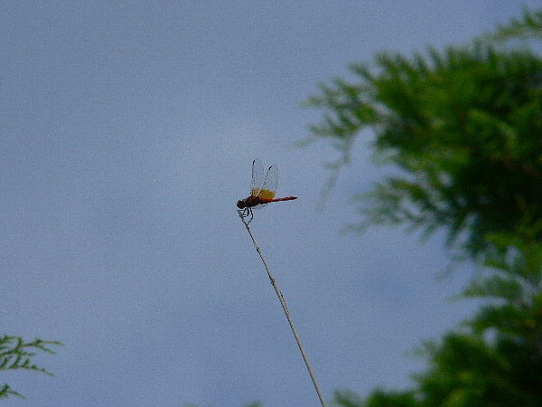 e0002314_18553.jpg