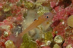 b0155916_21332816.jpg
