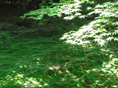 e0092221_7473079.jpg