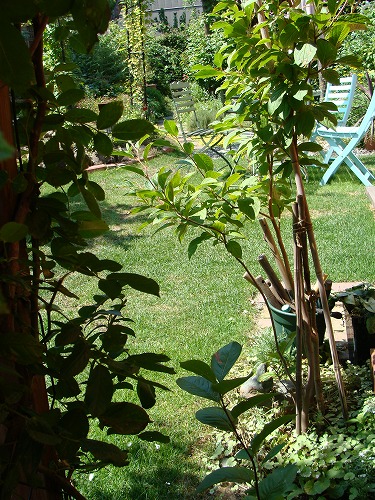 f0170524_16113229.jpg