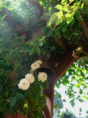 f0170524_1684196.jpg