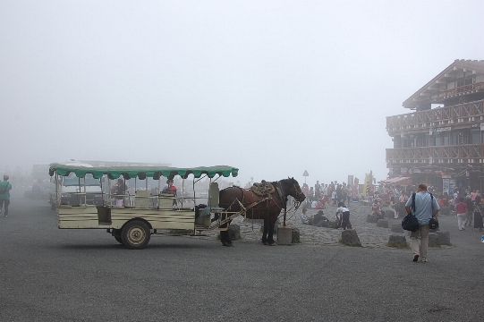 富士山の五合目へ (2)　@ Mont Fuji_f0095128_15231100.jpg