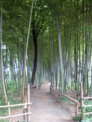 f0038336_8291886.jpg