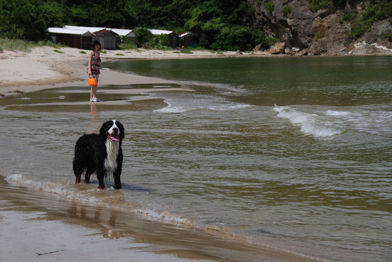 お盆休みに出かけた2回目の海♪_b0075541_20511829.jpg