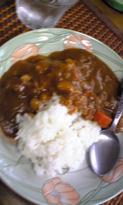 お昼ご飯はカレー（笑）_e0114246_17471136.jpg