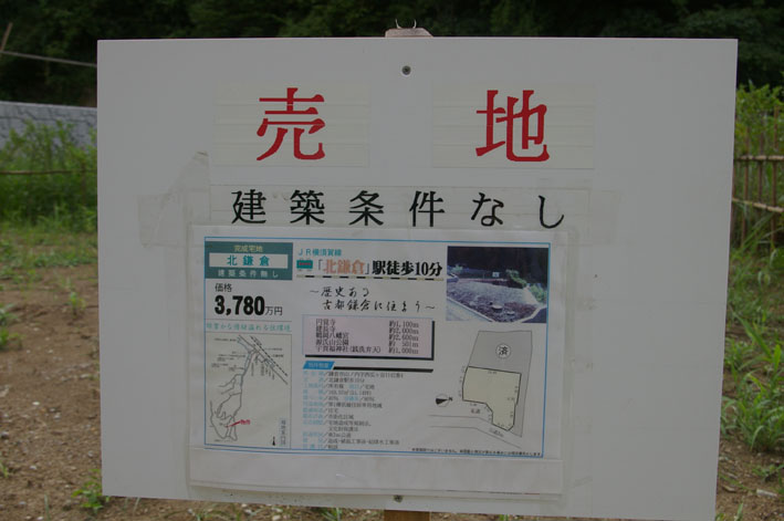 町内会が鎌倉市、大源にテストコートの開発中止を要望_c0014967_1113947.jpg