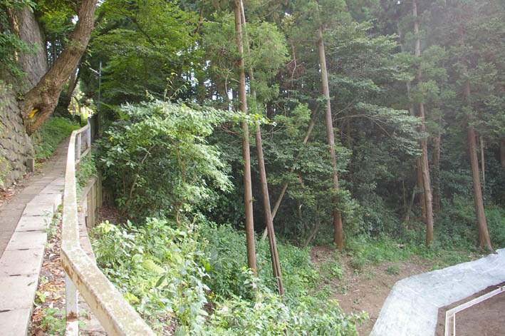 町内会が鎌倉市、大源にテストコートの開発中止を要望_c0014967_113681.jpg