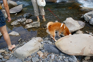 ふじ家の夏休み　Ｐａｒt１_d0101070_1992678.jpg