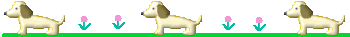 e0085772_0143765.gif