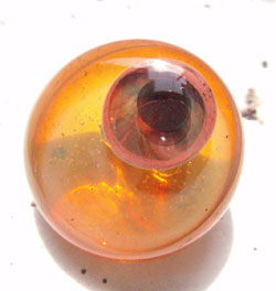 e0113673_22431070.jpg
