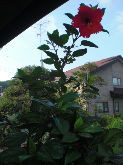 b0157276_23162380.jpg