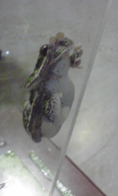 f0009480_9233070.jpg