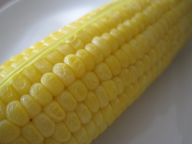 a0008185_99183.jpg