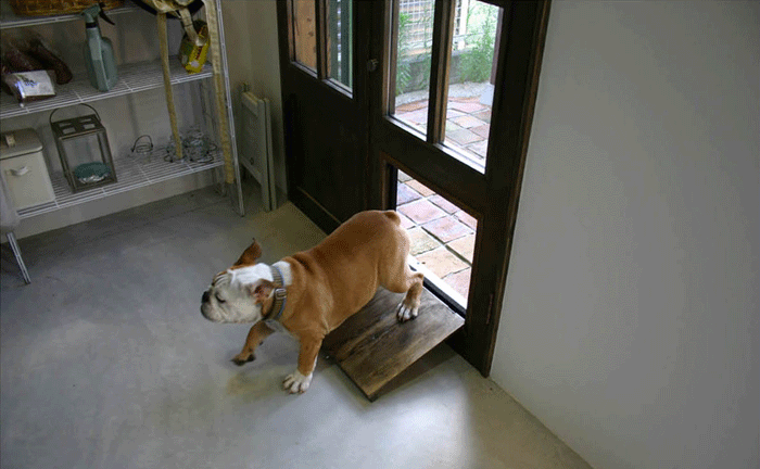 f0171785_15134778.gif
