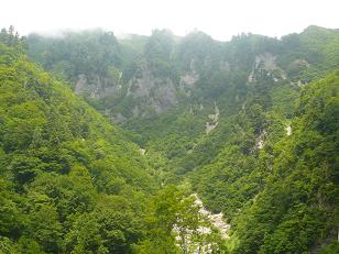 秘境です_a0075387_10433920.jpg