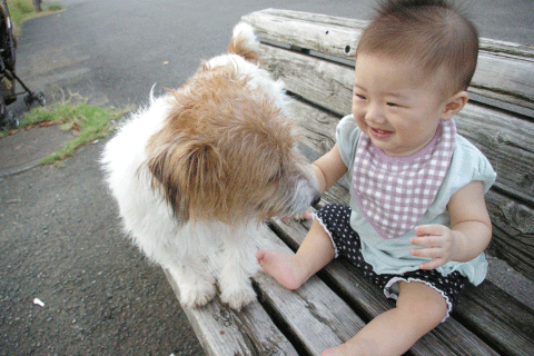 c0172101_23421490.gif
