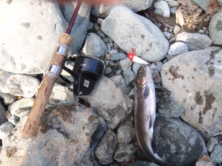 c0023804_148217.jpg