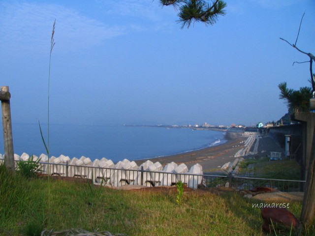 b0118511_18295938.jpg