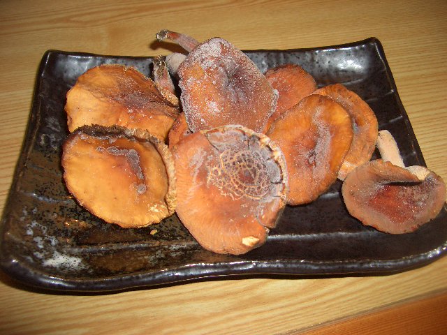 秋の便り_f0172518_15494337.jpg