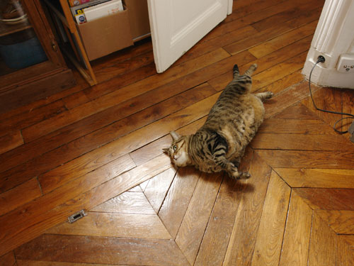 2008/08/22　近頃うちの子は・・・_f0034922_51787.jpg