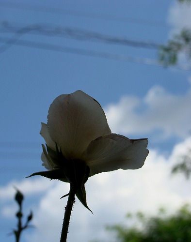 f0170524_14242713.jpg