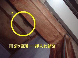 f0031037_183503.jpg