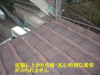f0031037_1842557.jpg