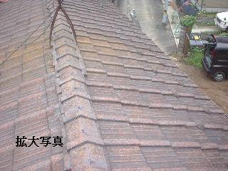 f0031037_1845592.jpg