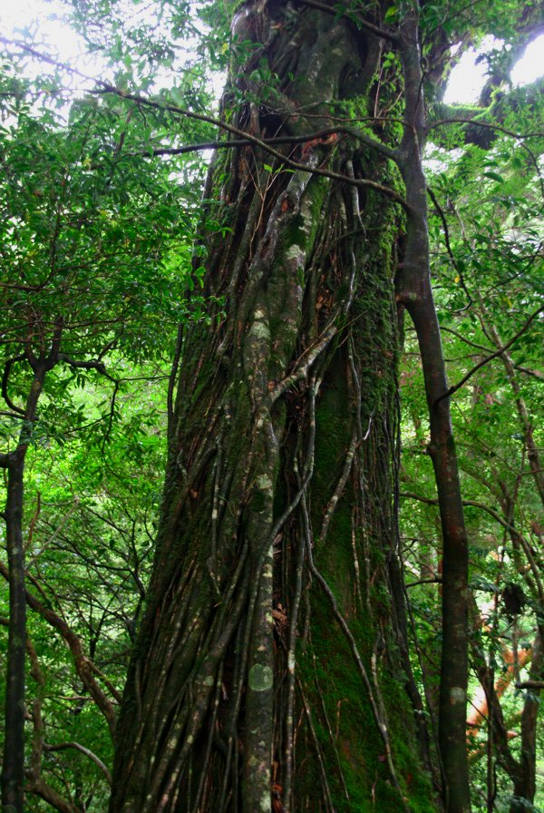 自分的行動多様性_b0060239_21562492.jpg