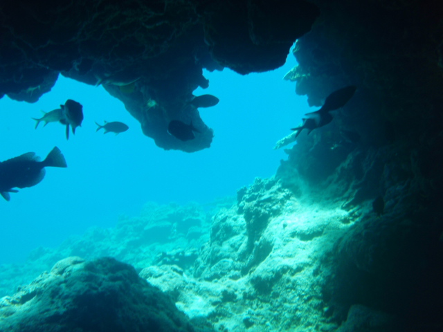 c0142045_10595093.jpg