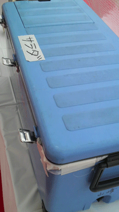 c0127670_16472832.gif