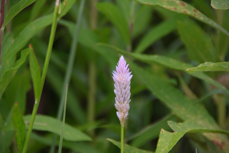 e0024081_15511493.jpg