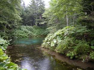 b0138798_1654844.jpg